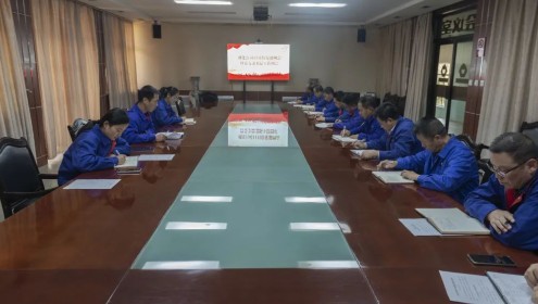 公司召开十一月份党建例会暨党支部书记工作例会
